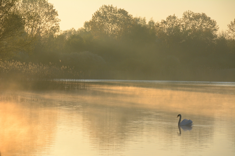 im ersten Morgenlicht...