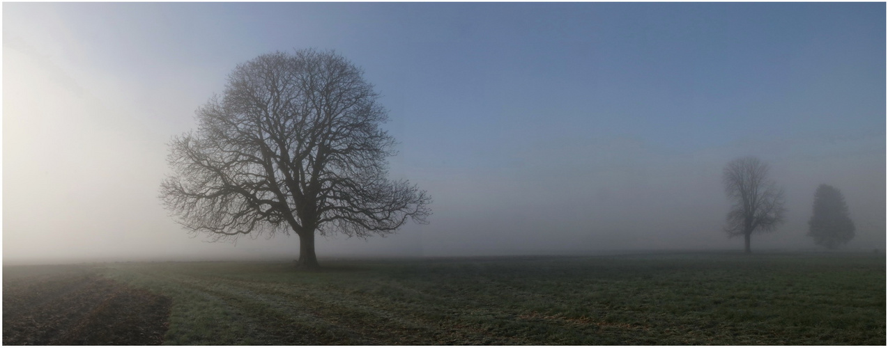 Im ersten Morgenlicht