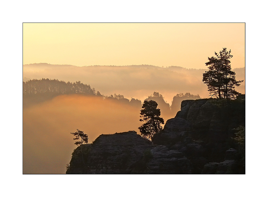 Im ersten Morgenlicht