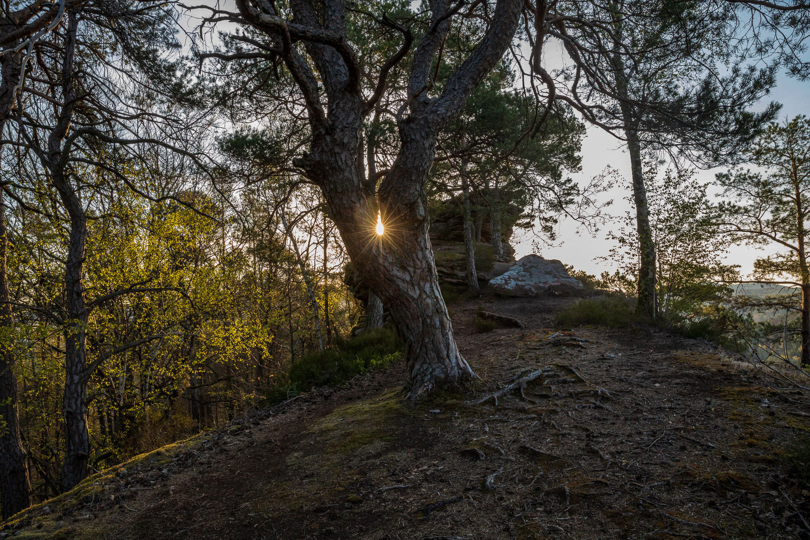 Im ersten Morgenlicht