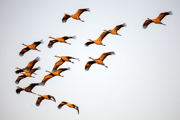 Im ersten Morgenlicht...