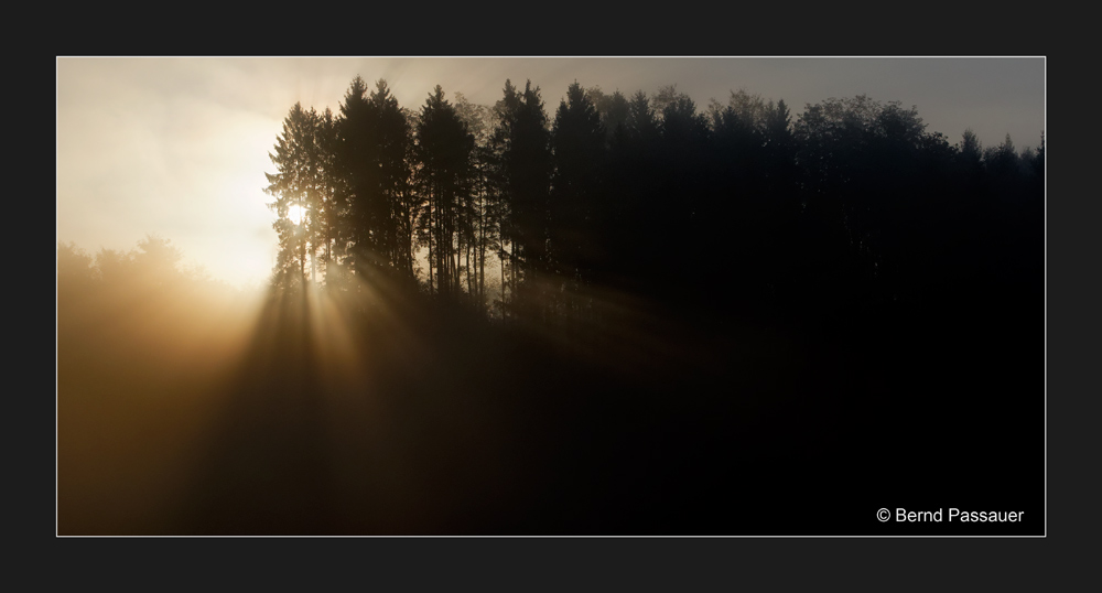 Im ersten Morgenlicht