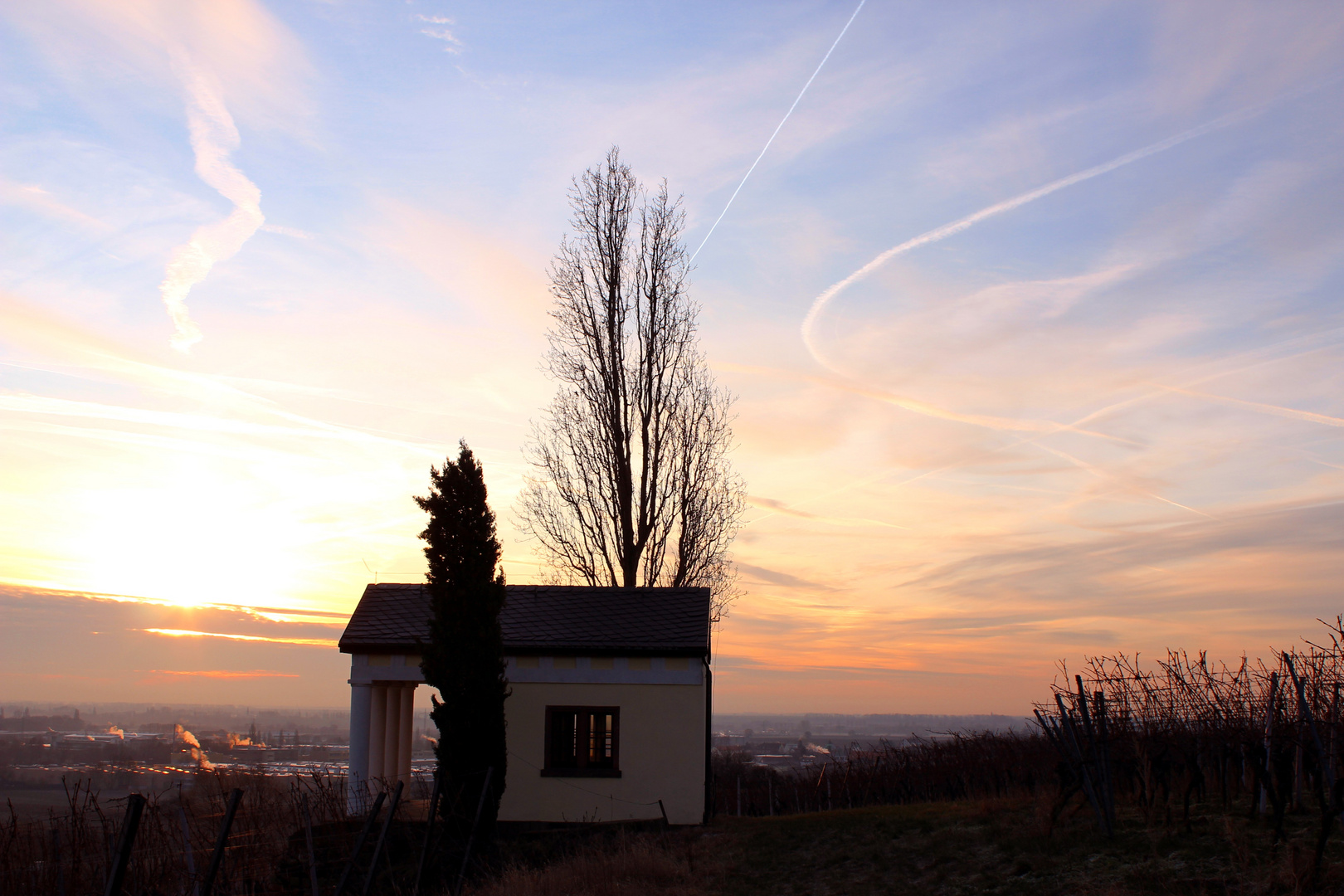 Im ersten Morgenlicht