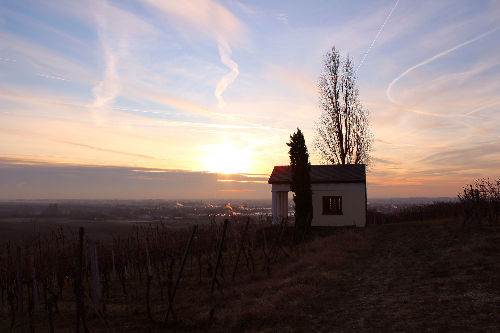 Im ersten Morgenlicht(2)