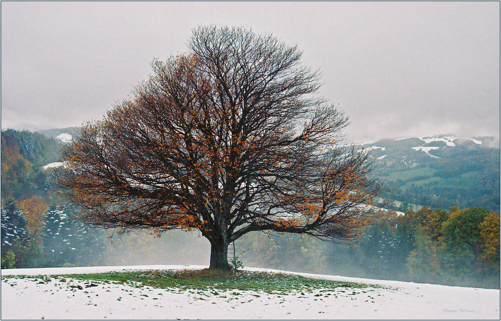 Im ersten Schnee