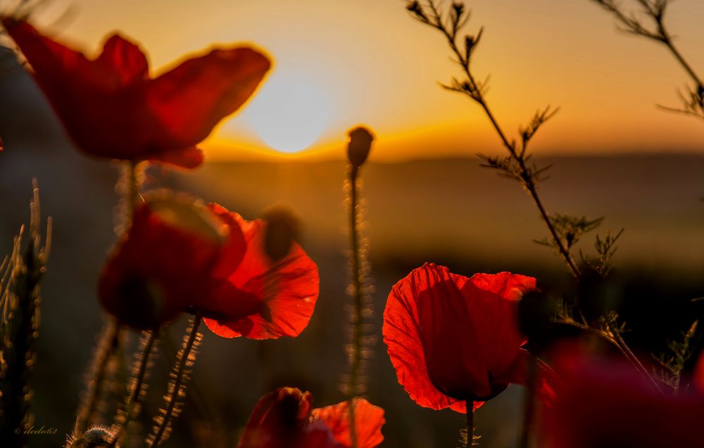 Im ersten Sonnenlicht