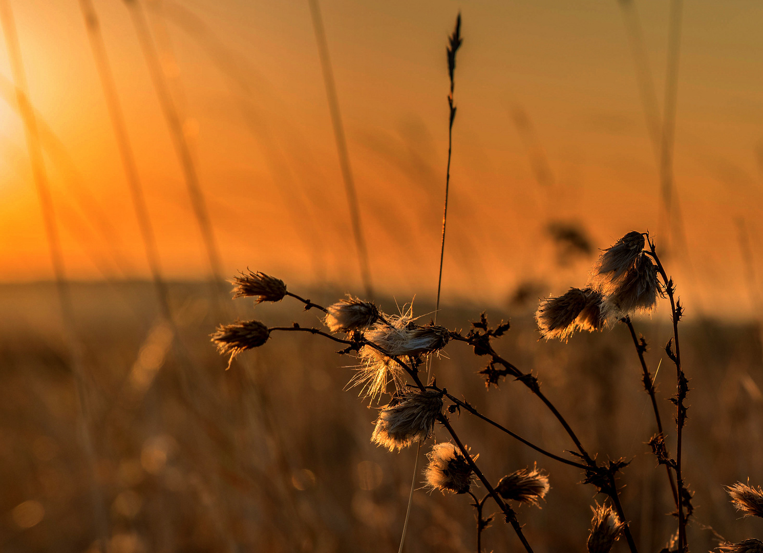 Im ersten Sonnenlicht