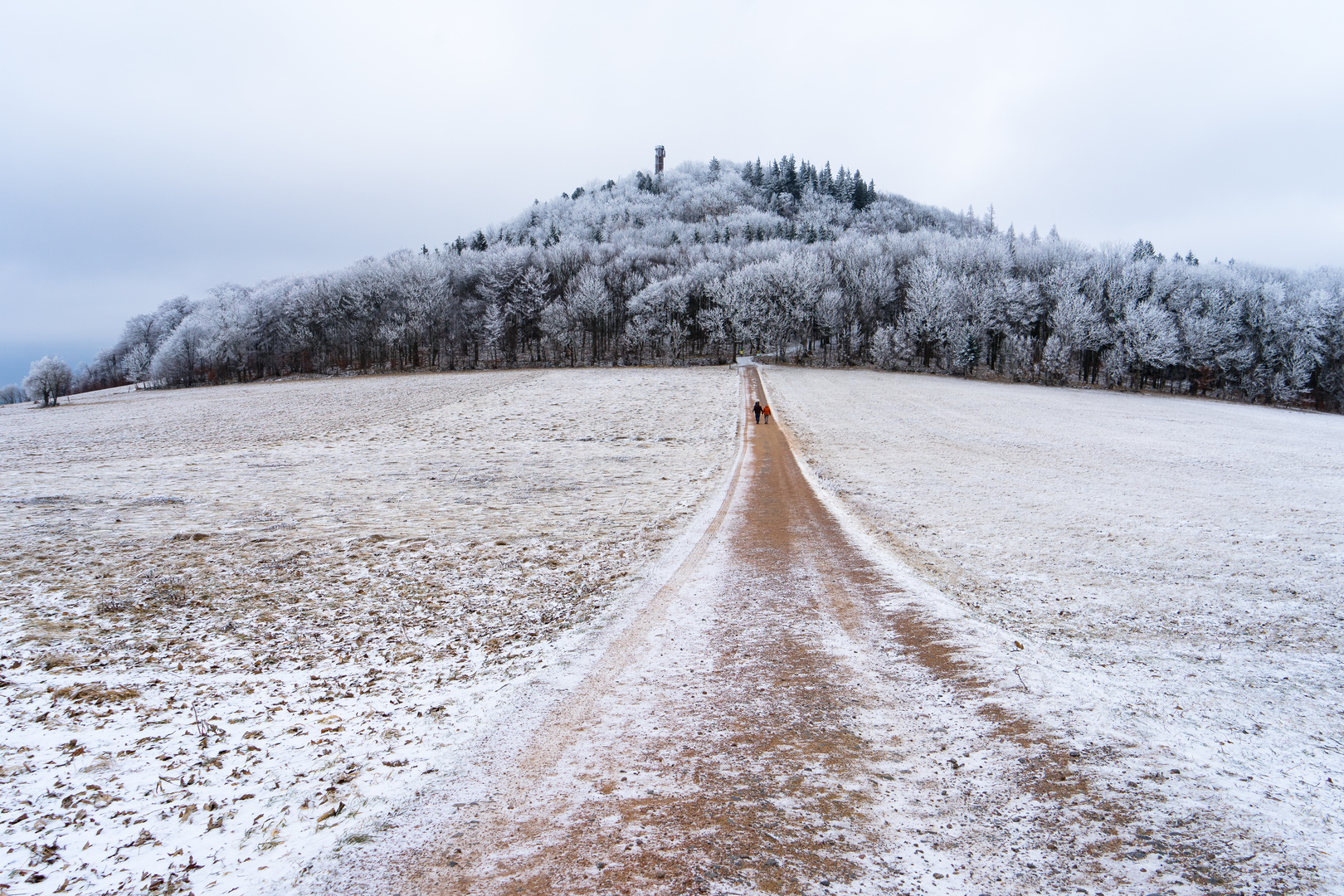 im Erzgebirge