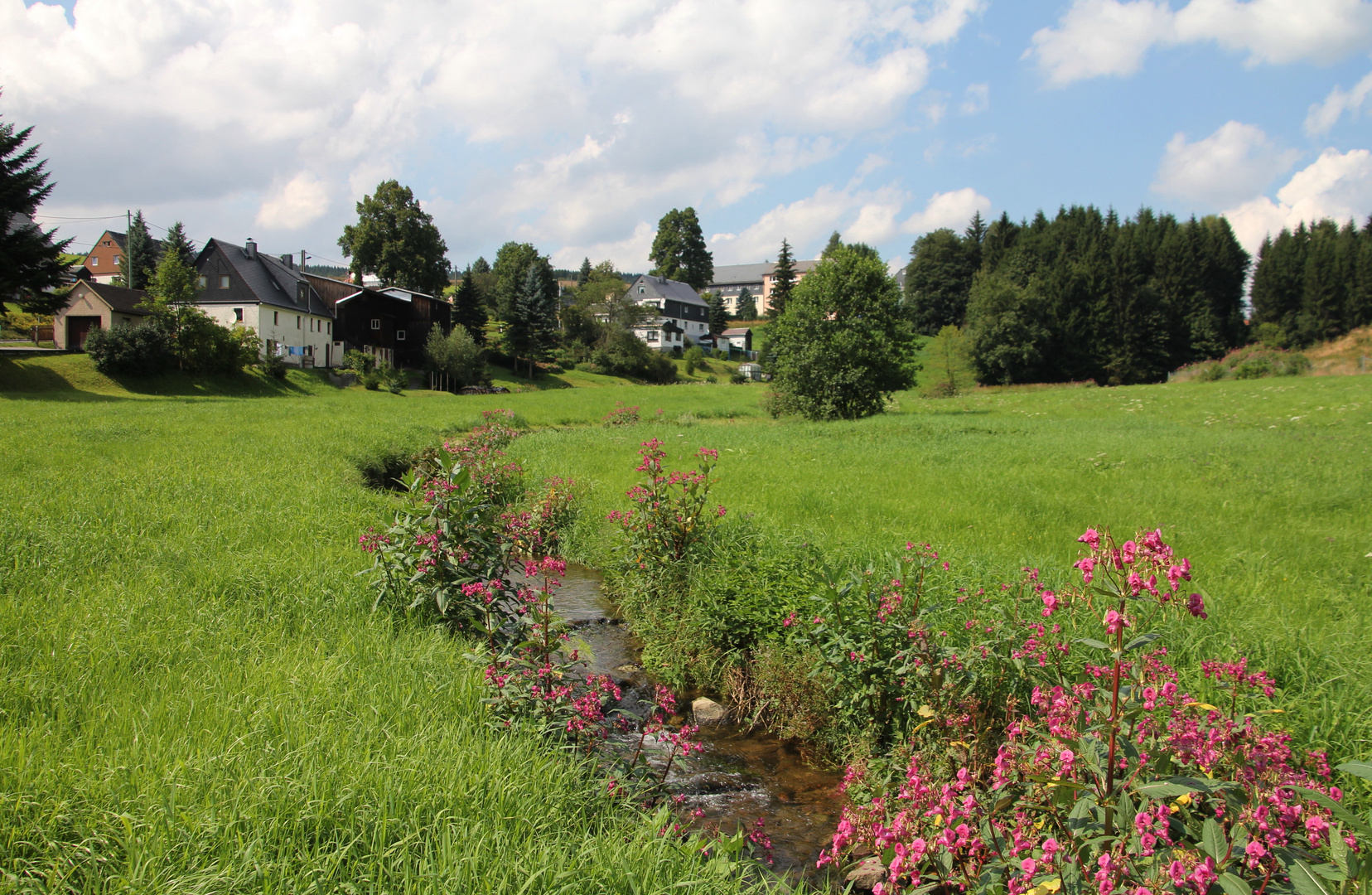 Im Erzgebirge