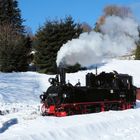 Im Erzgebirge ist noch richtig viel Schnee .... 