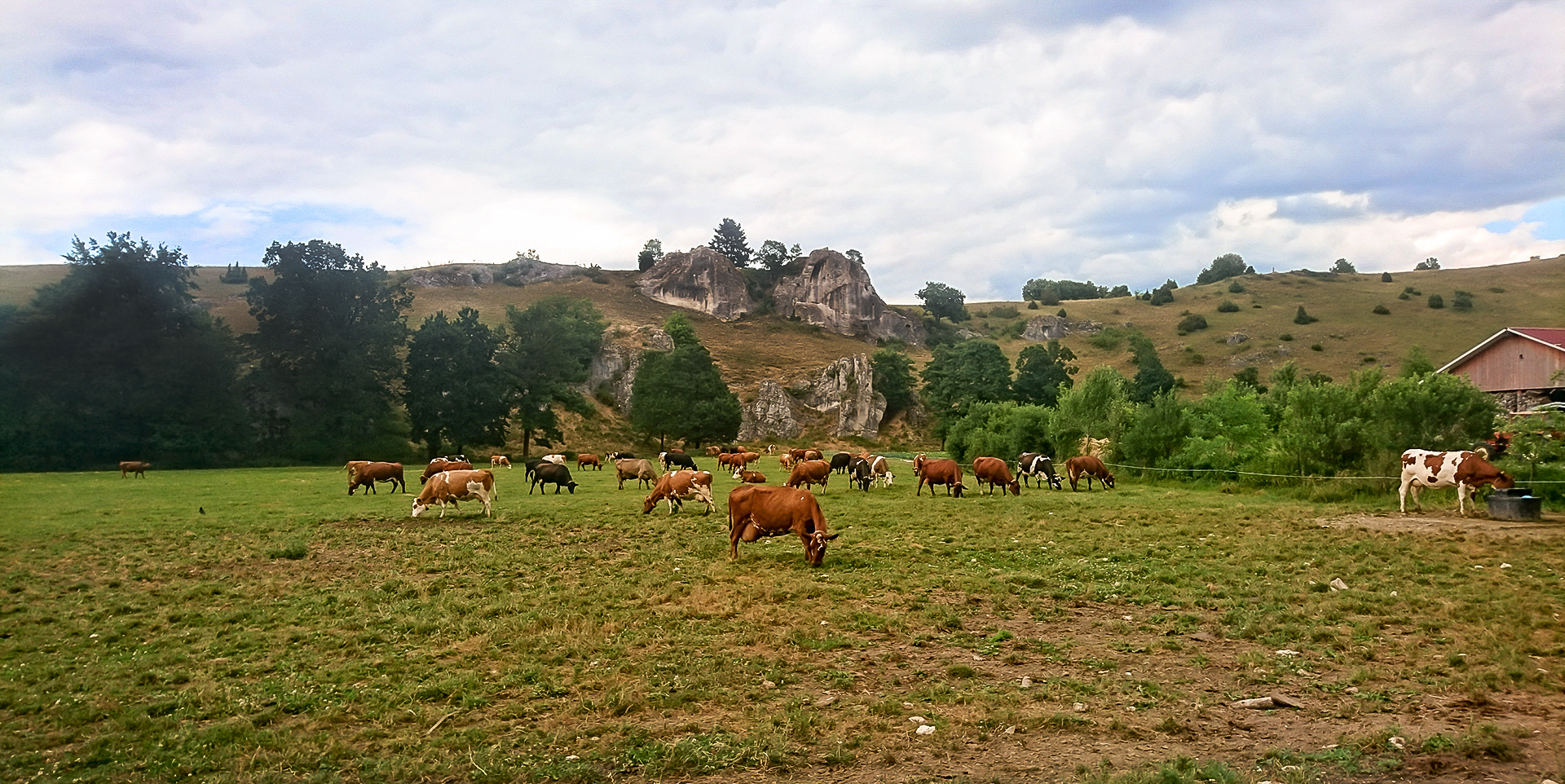 Im Eselsburger Tal 