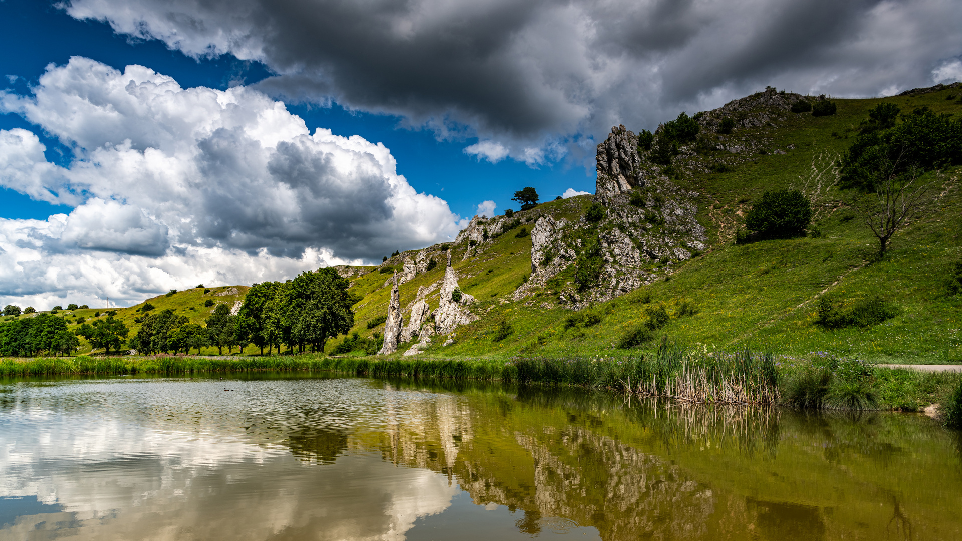 Im Eselsburger Tal