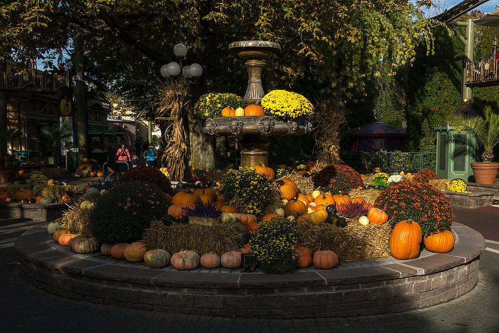 Im Europapark 08