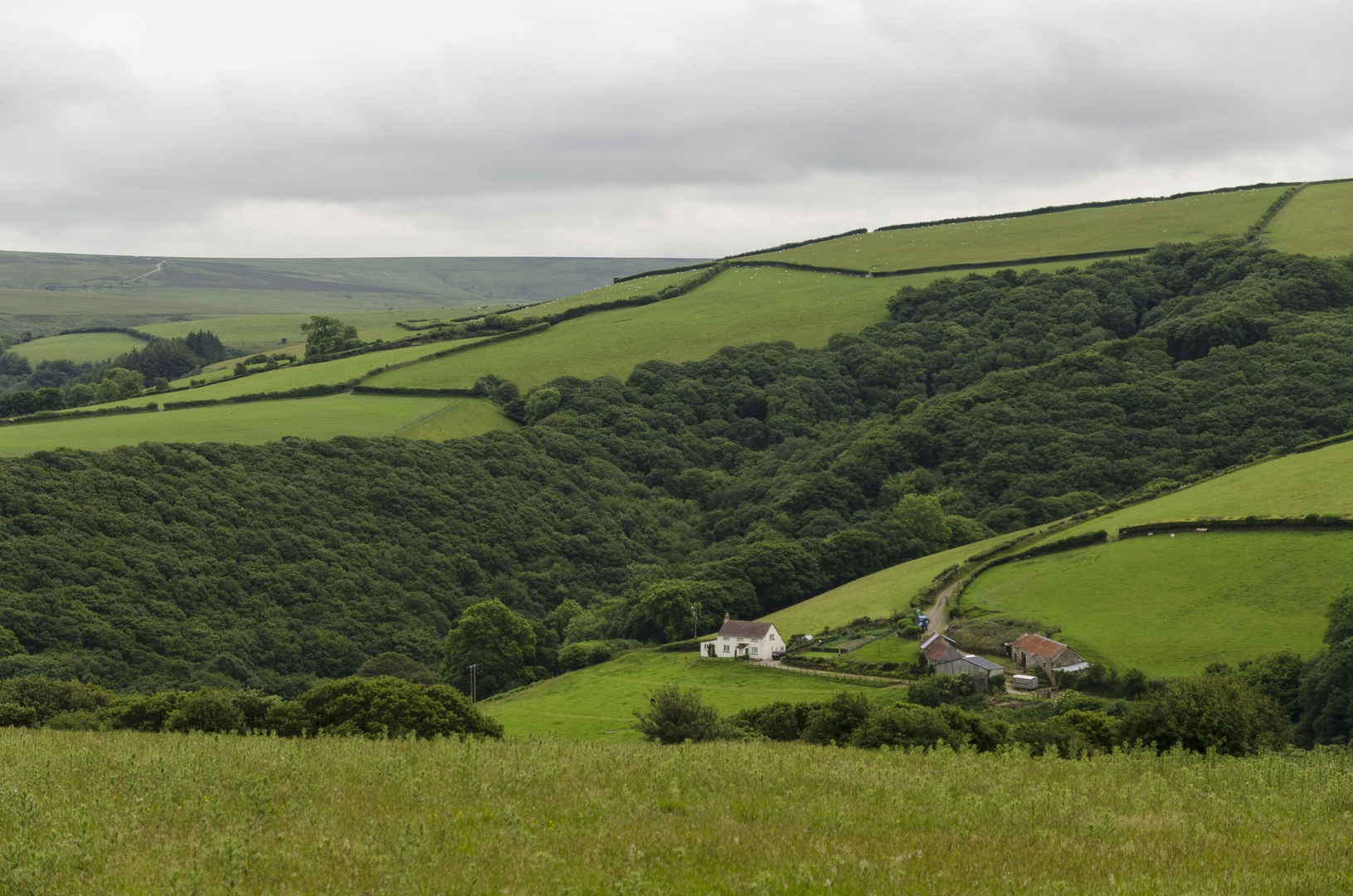 Im Exmoor National Park