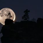 Im Fadenkreuz der Nacht