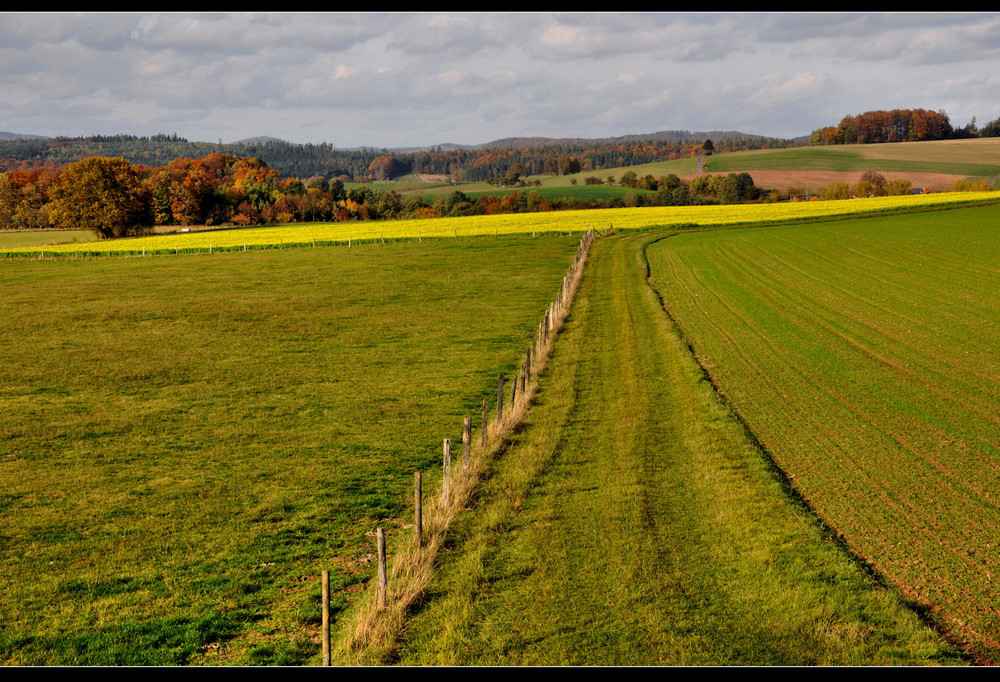 im Farbenrausch