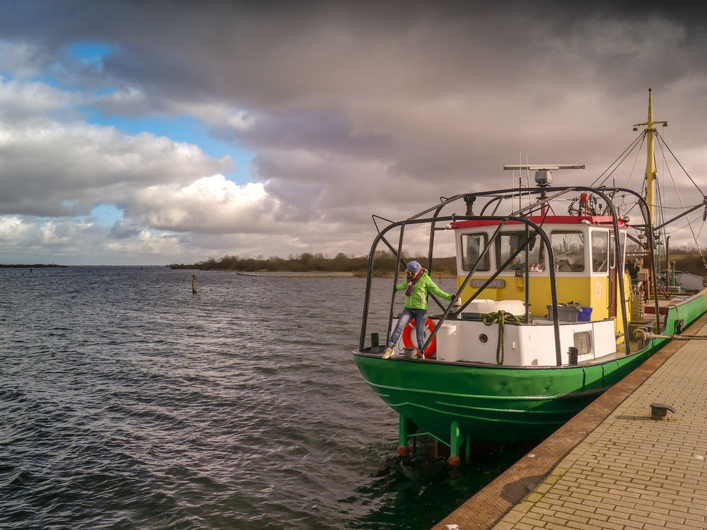 Im Februar am Grevelinger Meer