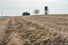 Im Februar auf dem Stennweiler Flur