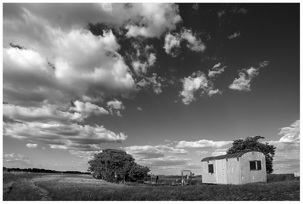 Im Feld - am Garten - neben dem Wagen