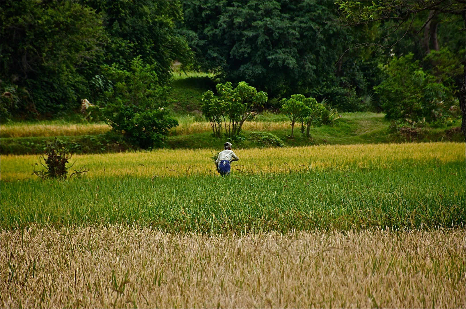 im feld, burma 2011