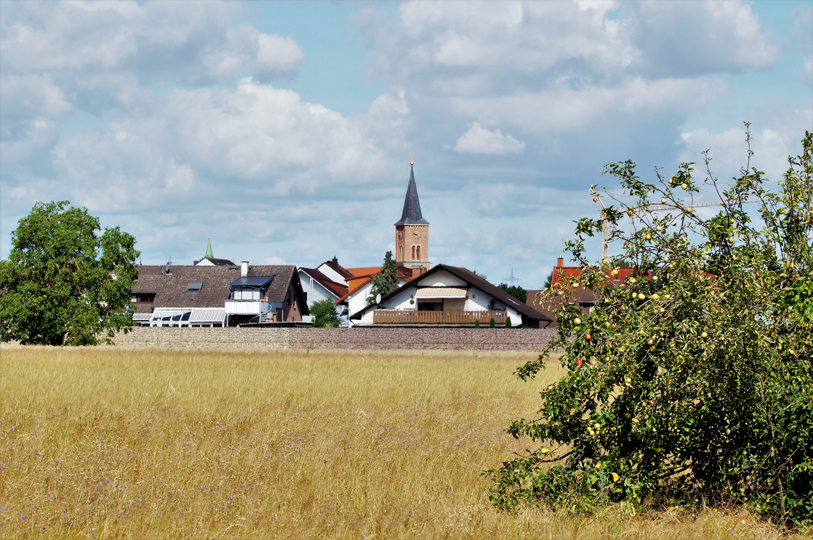 Im Feld vor Wiesental