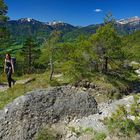 Im Felssturzgebiet von Arth-Goldau