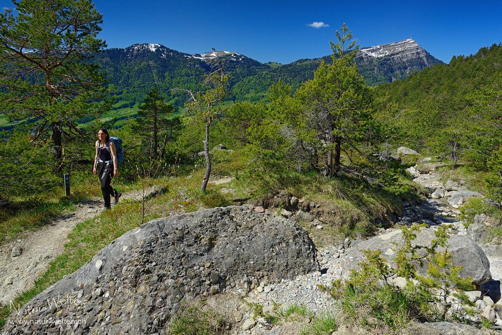 Im Felssturzgebiet von Arth-Goldau