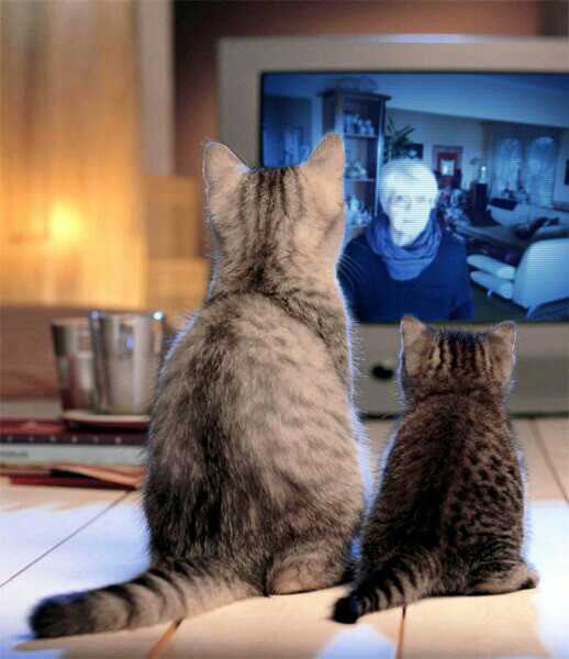 im Fernsehen......