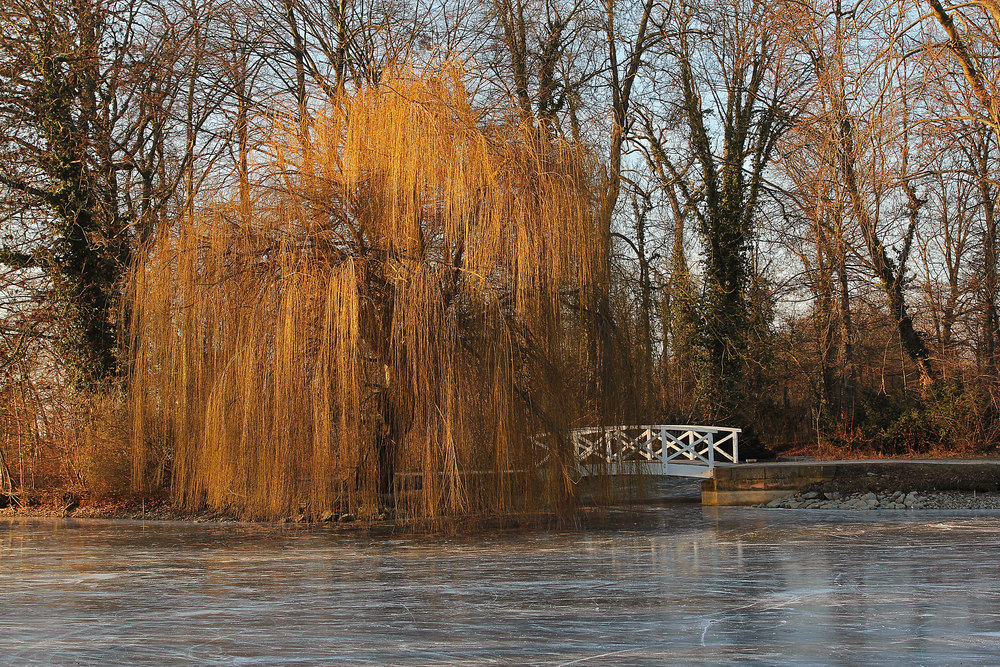 Im festen Griff des Winters 2