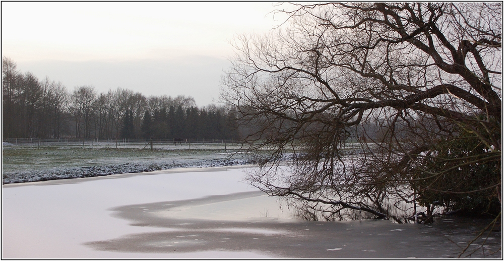 Im festlichen Winterkleid...