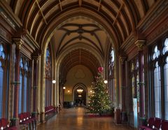 - im Festsaal des "Schloss Drachenburg" ...