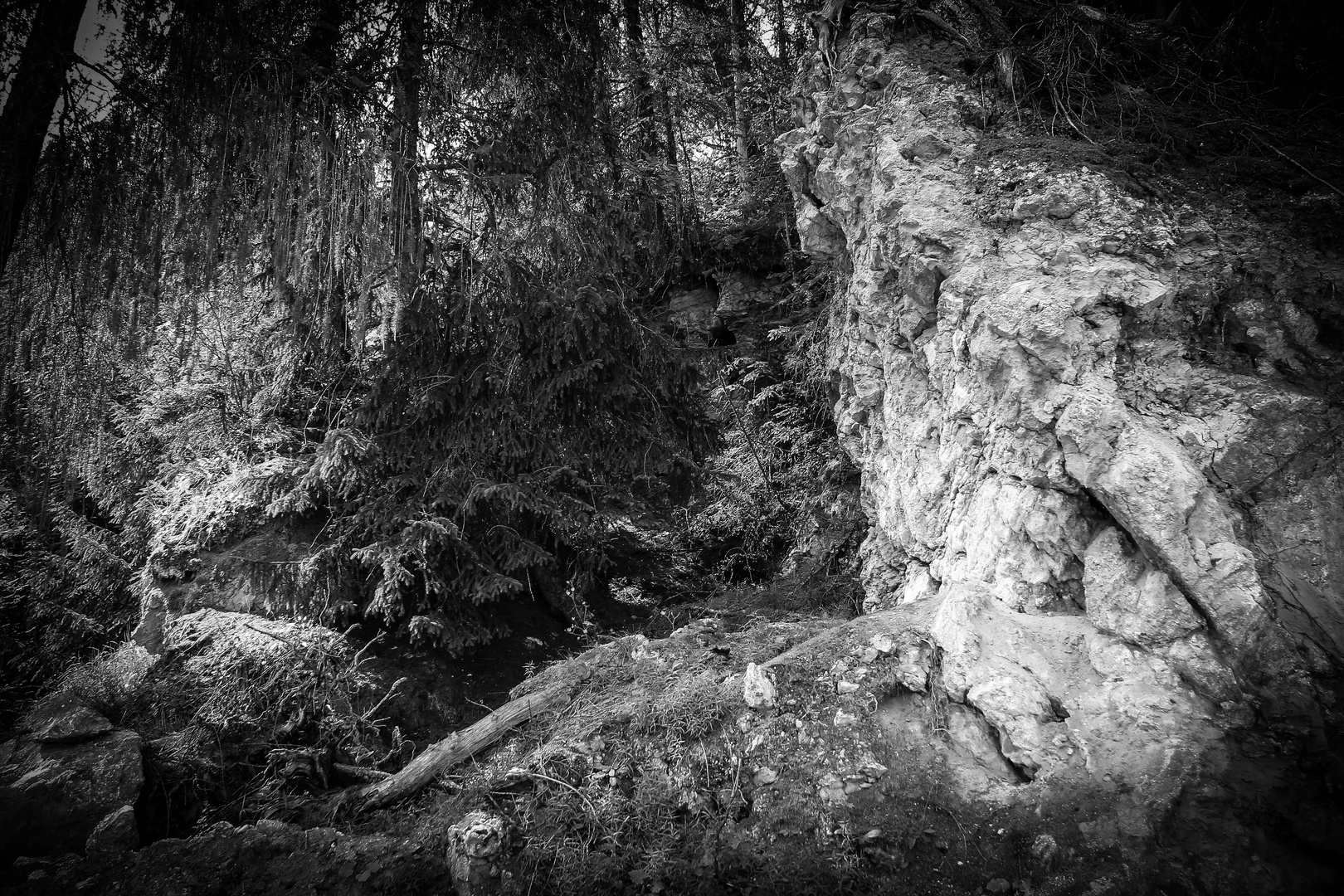 Im finsteren Wald von Haute Nendaz - Wallis