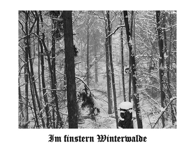 Im finstern Winterwalde