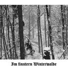 Im finstern Winterwalde