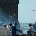 Im Fischereihafen von Essaouira