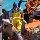 Im Fischereihafen von Trapani