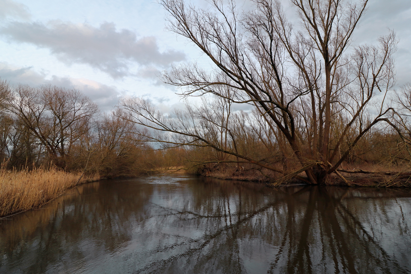 Im Fischwinkel