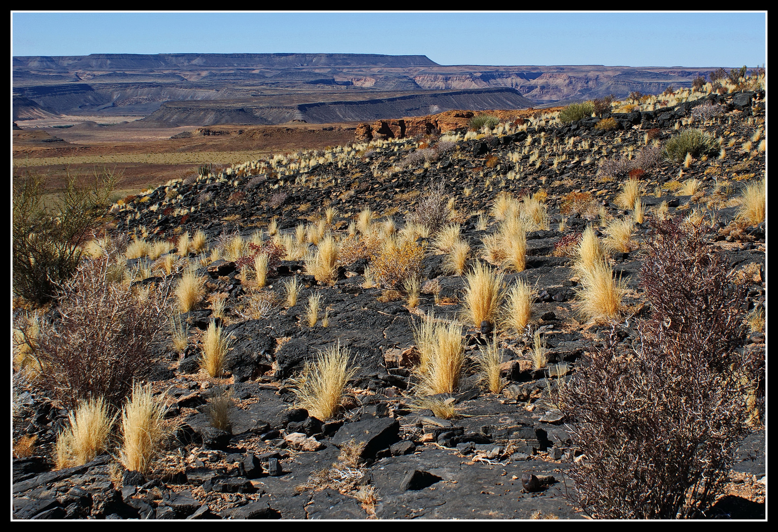 Im Fish River Canyon