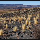 Im Fish River Canyon