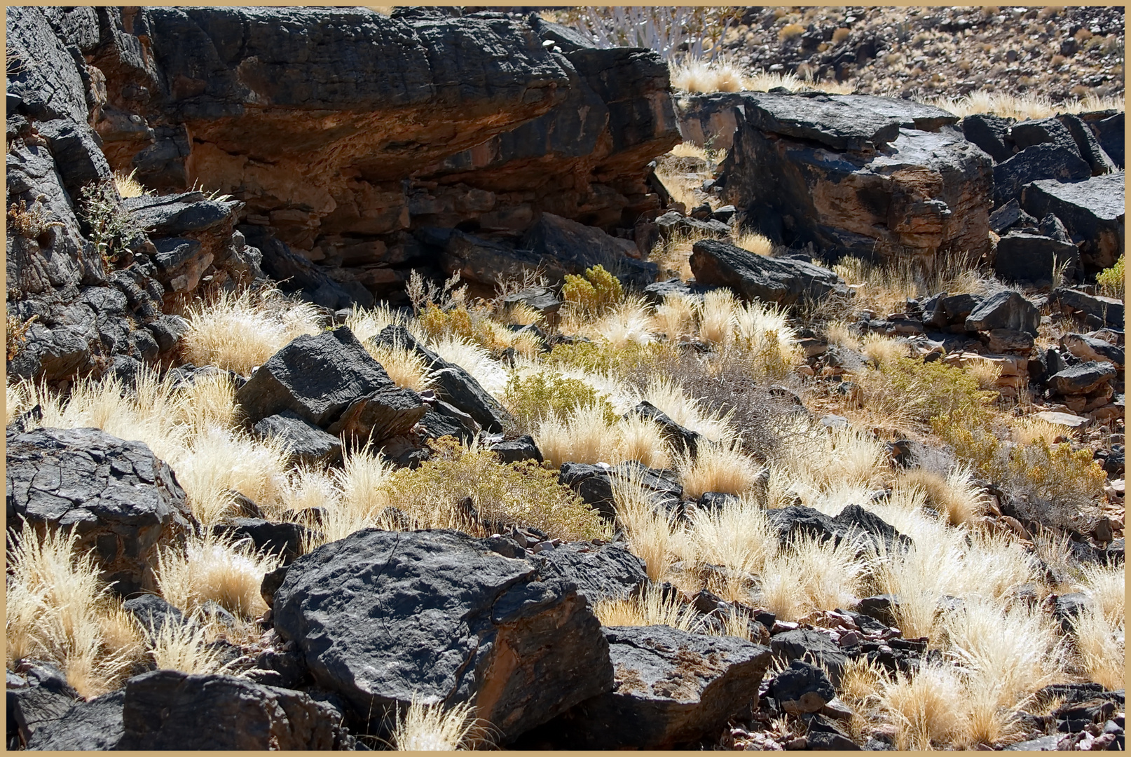 Im Fish River Canyon