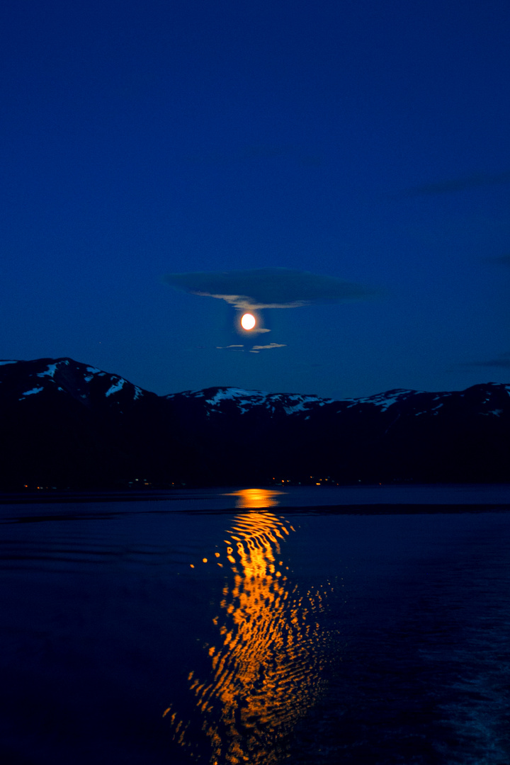 Im Fjord von Fläm