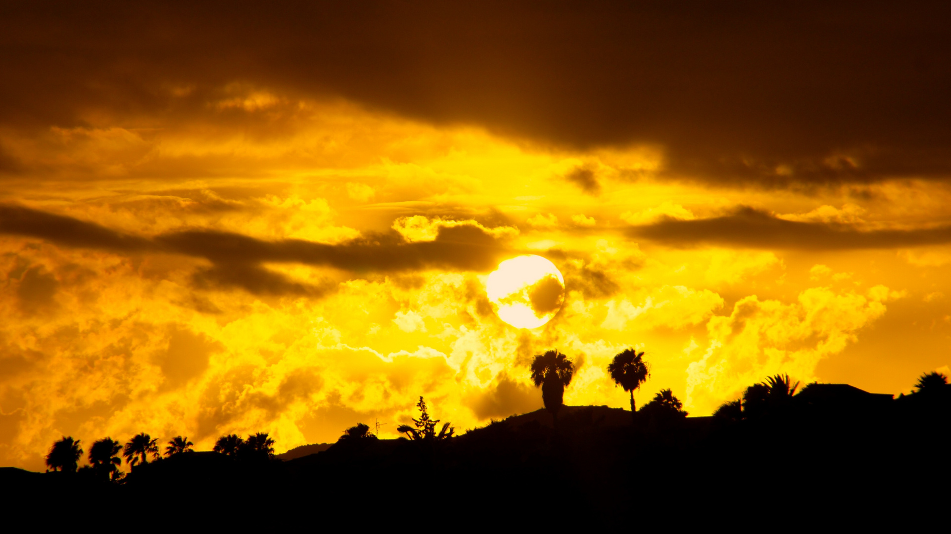 Im flammenden Himmel geht die Sonne unter