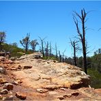 Im Flinders Ranges Nationalpark