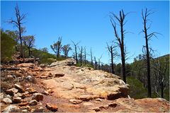 Im Flinders Ranges Nationalpark