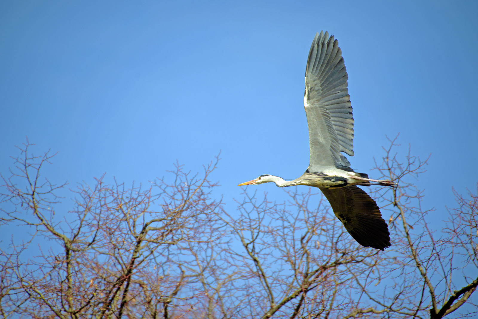 Im Flug.