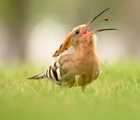 Im Flug des Augenblicks