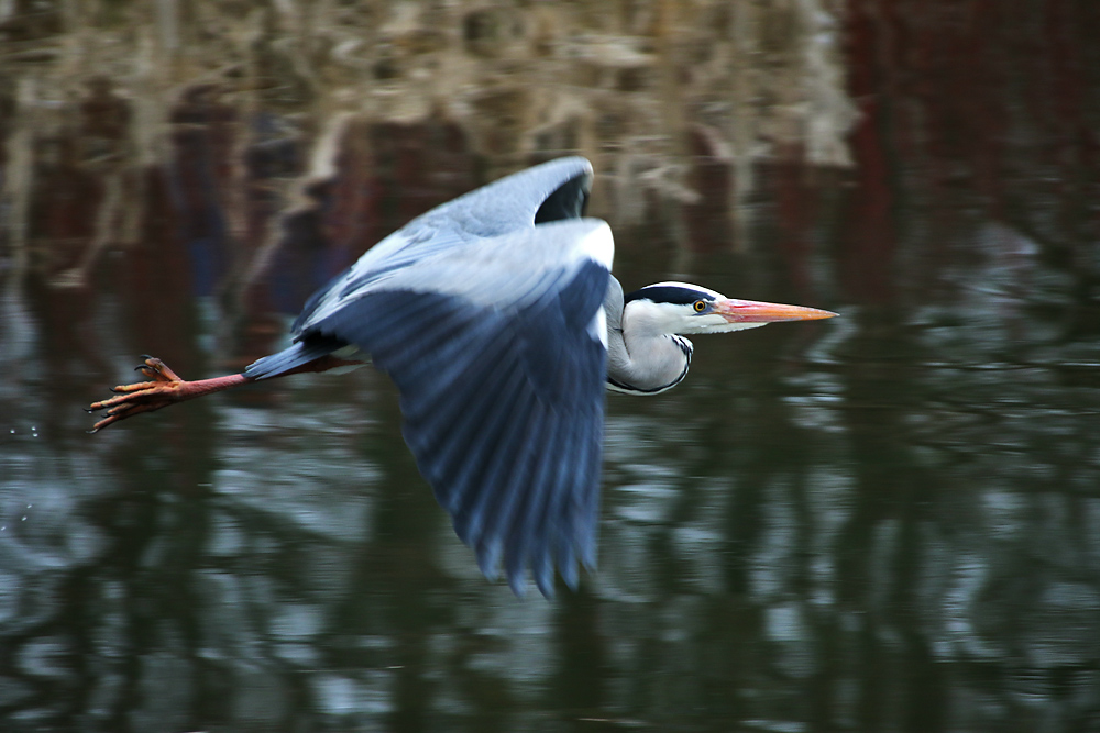 im Flug erwischt