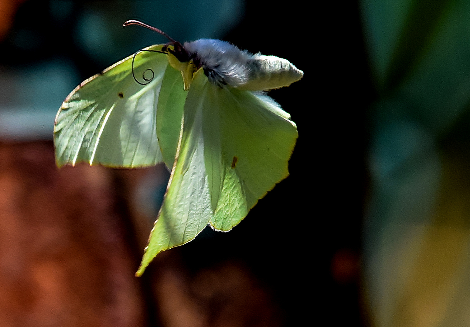 im Flug erwischt