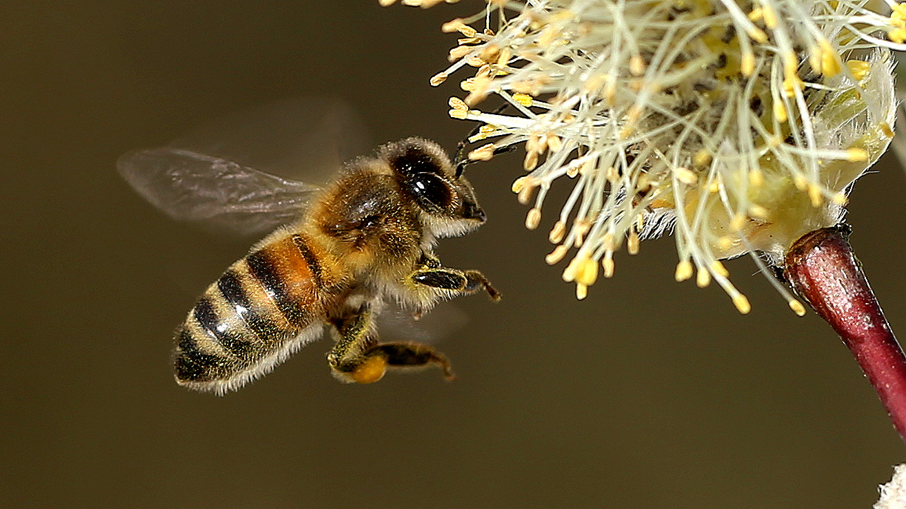 Im Flug erwischt!