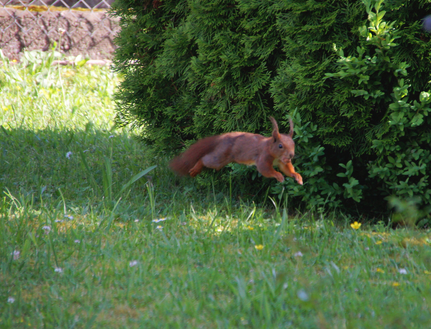 Im Flug erwischt